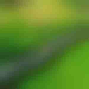 Kamenné zahradní lemování (10 ks) | MINIFENCE