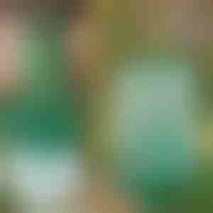 Opakovaně použitelná závěsná past na mouchy pro zahradu, terasu a balkon | INSECTA