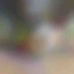 12v1 kráječ a sekáček na zeleninu (7 čepelí v balení) | CHOPMASTER