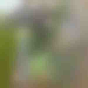 Motyka na zahradu pro snadné odstraňování plevele | GRASSOE