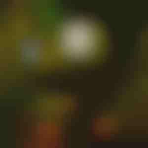 Solární osvětlení cest (6ks) | LUMITRAD