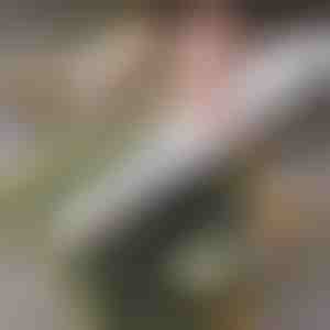 Snadný domácí sushi váleček | SUSHROLIO