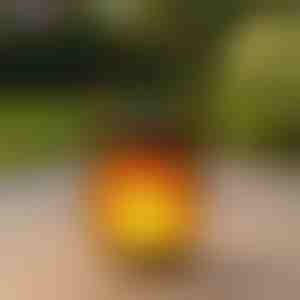 Solární lucerny s efektem tančícího plamene | FLAMLUX