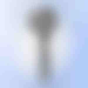 Multifunkční masážní sprcha | SHOWERELAX